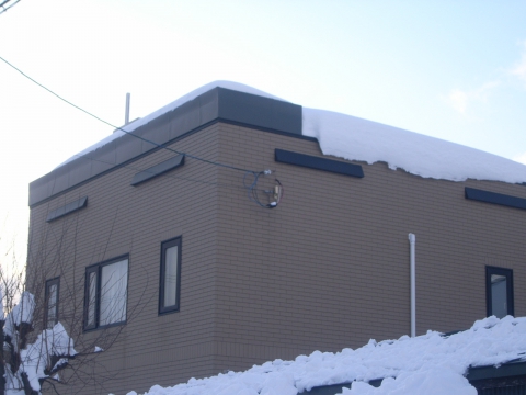 雪庇防止装置