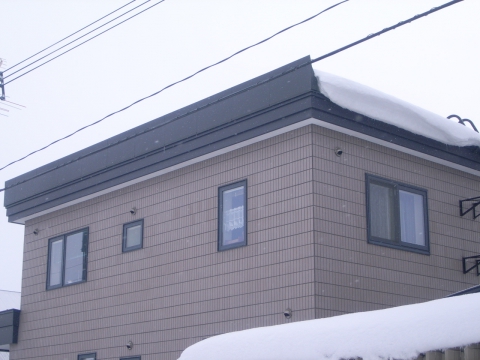 雪庇防止装置