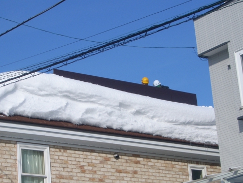 雪庇防止装置