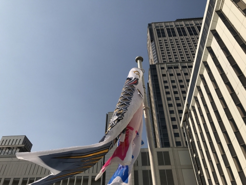 札幌観光 札幌駅前 こいのぼり 4月 5月 北海道 札幌 江別