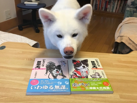 秋田犬の本