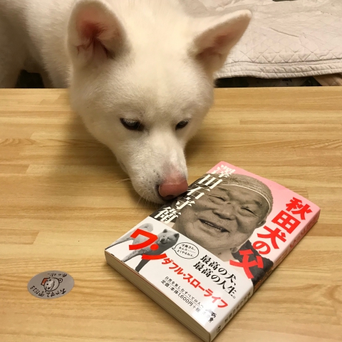 秋田犬の本