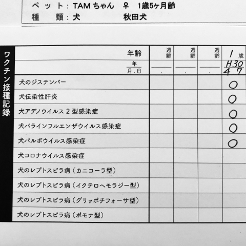 予防接種証明書