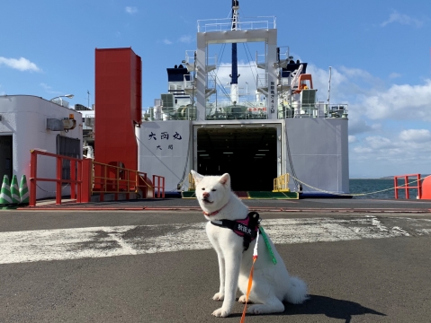 秋田犬ツーリズム