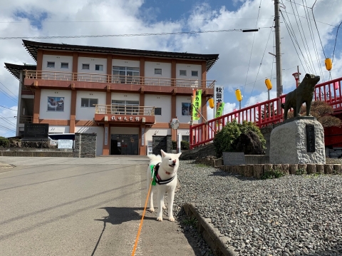 秋田犬ツーリズム