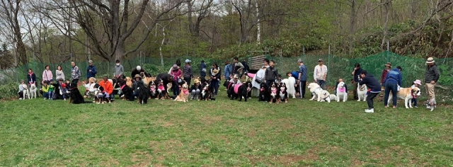 超大型犬の会