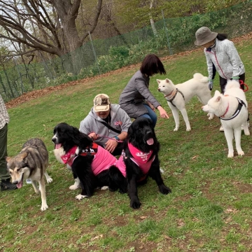 超大型犬の会