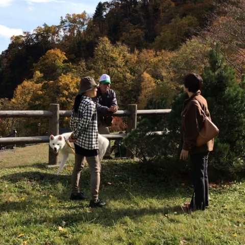 秋田犬姉妹との出会い