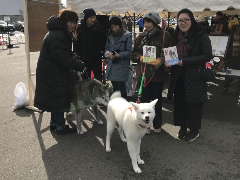 いもうとは秋田犬