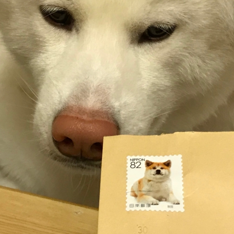 秋田犬の切手