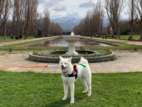 前田森林公園